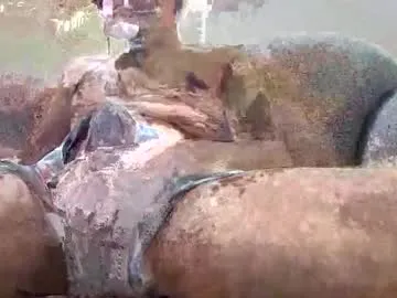 good_arab_big_dick on Chaturbate 