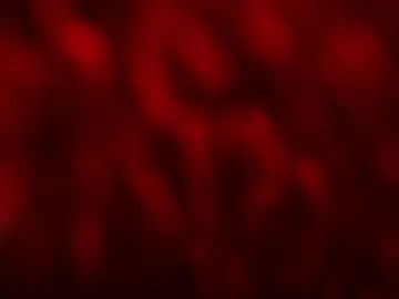 kloelamaravilla18 — OIL SHOW TONIGHT ... @GOAL 25 SKIRT OFF @GOAL 40 #latina #bigass #bigboobs #curvy #squirt - Multi-Goal :  reach goal 40 and find out #Lovense #Ohmibod #interactivetoy