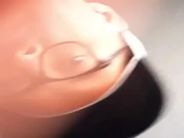 Freechat lu_pink on Chaturbate