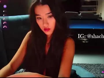 Freechat shachatte on Chaturbate