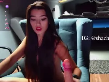 Freechat shachatte on Chaturbate