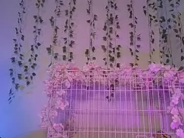 Freechat switchykitty on Chaturbate