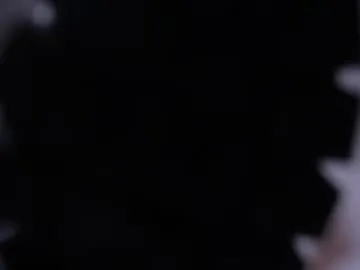 Freechat taylorharp on Chaturbate