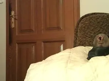 thongsandstockings — #pantyhouse #stockings #thongs #men's thongs