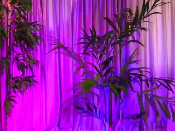 Freechat zenydaxbelle on Chaturbate