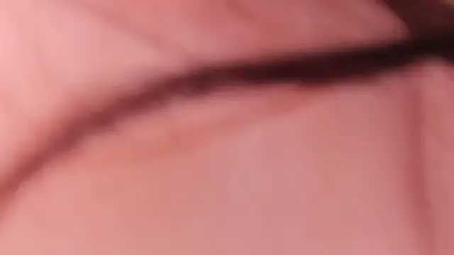 StripChat alix_bay is Freechat alix_bay — Open legs and play domi