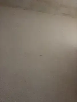 BELLAMORGANE1 — Freechat on StripChat