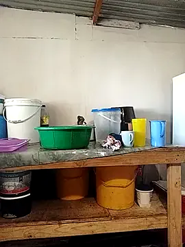 Freechat curvyloneah75 on StripChat