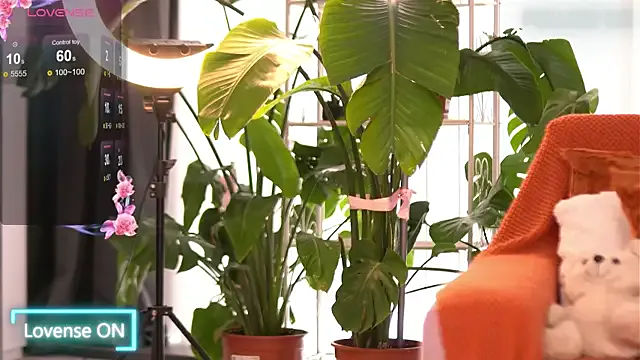 Freechat EmilyRaymont on StripChat