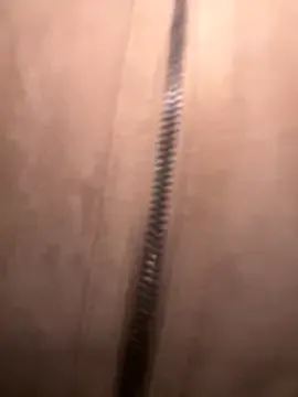 FroggyAnna — rub wet pussy in panties 