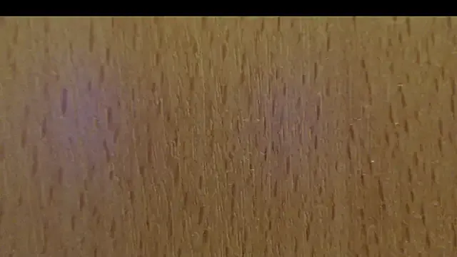 larawet — dogi style squirt