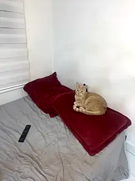 Freechat Liamiler01_ on StripChat