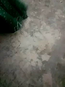 Private Miya_sistar on StripChat