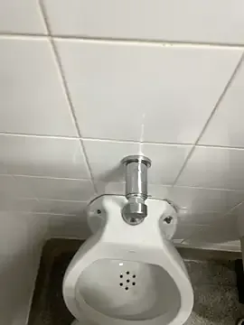 StripChat novinhosglbi is Freechat novinhosglbi — kd